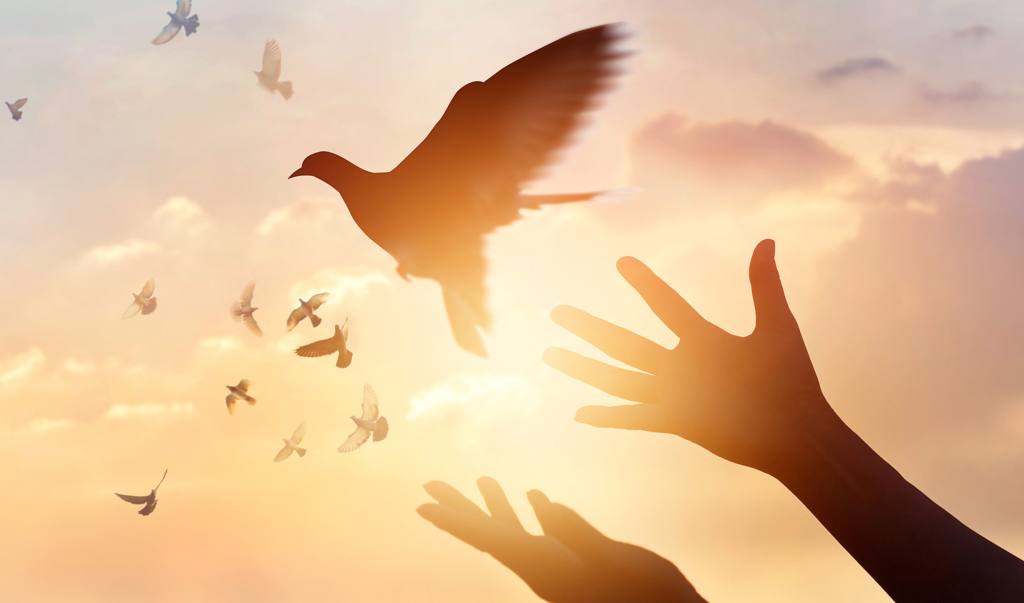 The Power of Forgiveness: A Step Towards Emotional Freedom